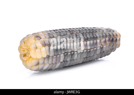 single waxy corn, tropical plants isolated on white background Stock Photo