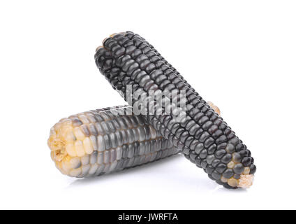 waxy corn, tropical plants isolated on white background Stock Photo