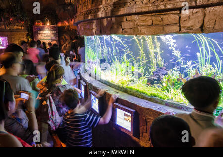 Families crowd around and watch fish in a tank at Shanghai Aquarium. Stock Photo