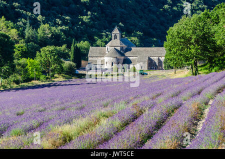 ABBAYE DE SENANQUE, VAUCLUSE 84 FRANCE Stock Photo