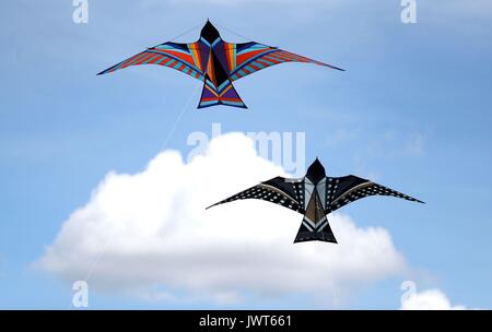 Kites are flown over Southsea Common during the 2017 Portsmouth Kite Festival in Southsea, Hampshire. Stock Photo