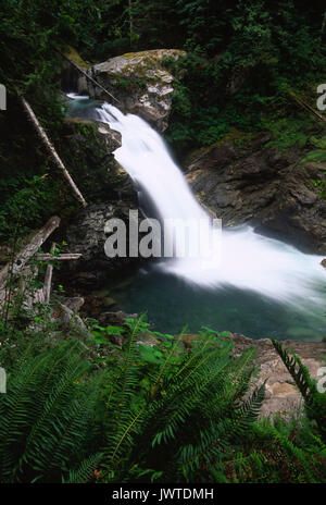 North Fork Sauk River Falls, North Fork Sauk Wild & Scenic River, Mt Baker-Snoqualmie National Forest, Washington Stock Photo