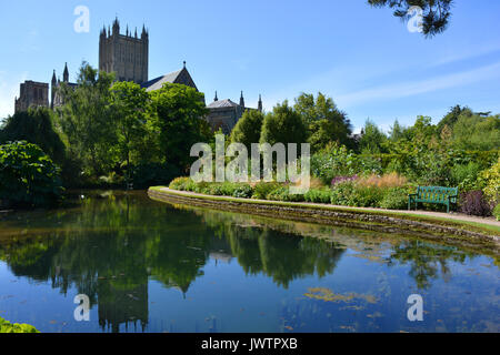 View to Wells Cathedral from the Bishop's Palace Gardens, Wells, Somerset, England