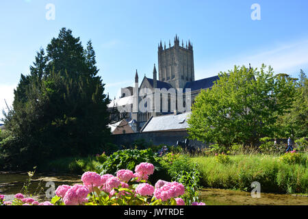 View to Wells Cathedral from the Bishop's Palace Gardens, Wells, Somerset, England Stock Photo