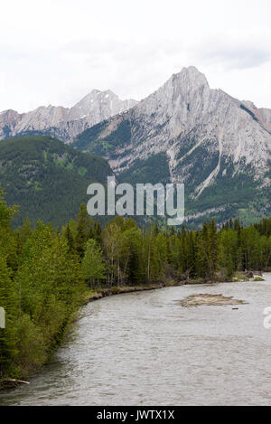 Mount Lorette in the Canadian Rockies with the Kananaskis River and Pine Forest Alberta Canada Stock Photo