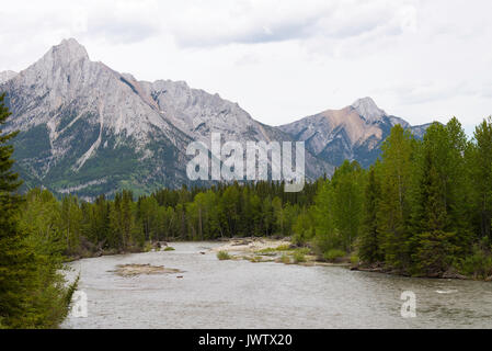 Mount Lorette in the Canadian Rockies with the Kananaskis River and Pine Forest Alberta Canada Stock Photo