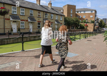 London, UK. 14th Aug, 2017. Residential houses overlooking a canal in Limehouse east London, UK. covered in growing green algae due to the recent hot weather conditions Credit: amer ghazzal/Alamy Live News Stock Photo