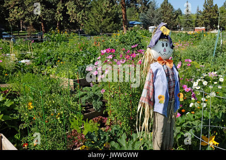 Community garden, Bend, Oregon Stock Photo