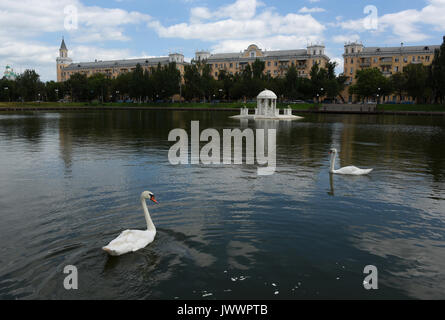 Astrakhan Swan lake, Russia Stock Photo