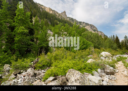 The Granite Canyon Trail passing below large cliffs lining the top of Granite Canyon in the Teton Mountains. Grand Teton National Park, Wyoming Stock Photo