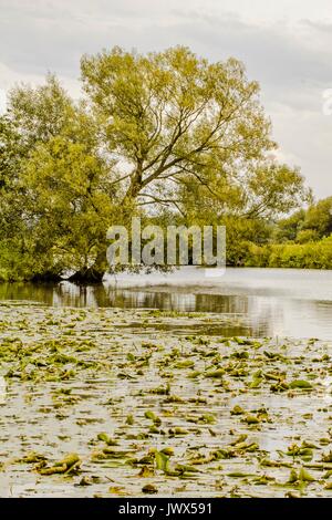 Beautiful lanscape Teufelsmoor near Bremen - Gemany Stock Photo