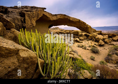 A cactus in front of a stone arch near San Miguel de Tajao, Tenerife, Spain Stock Photo