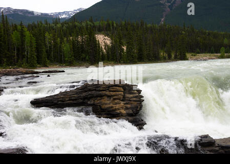 Athabasca Falls on the Athabasca River on the Icefields Parkway Jasper National Park Alberta Canada Stock Photo