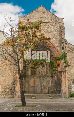 The remains of Holy Rood Church in Southampton city centre, the church was partially destroyed during the Blitz in 1940, Southampton, England, UK Stock Photo