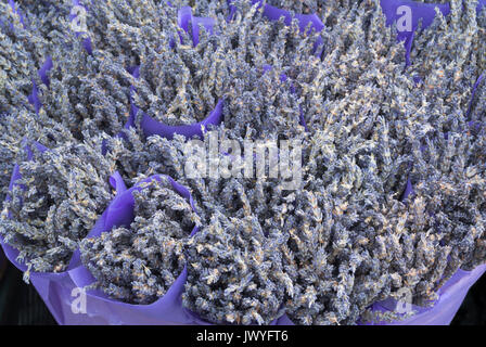 Lavender Flower Bouquets For Sale at Market Stock Photo