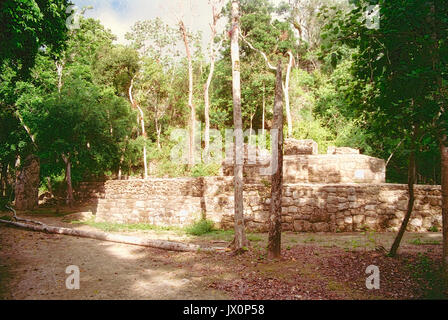 Ancient Mayan ruins at Calakmul, Campeche, Mexico. These ruins were in the process of clearing out all the jungle overgroth and beginning reconstruction.  Vintage photo - 1996 - Kodak Film Stock Photo