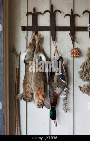 rabbits and duck hanging after evening hunt. Stock Photo