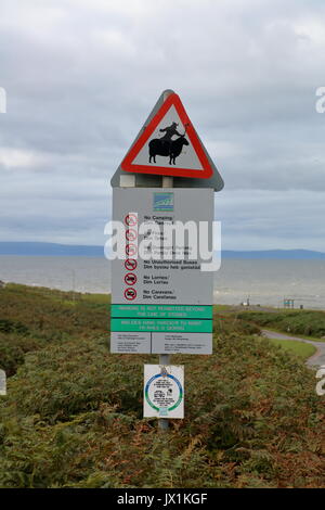 A very cleverly executed artistic slant on a 'Sheep on road' sign showing a Viking riding the back of a Sheep on the beach entrance sign. Stock Photo