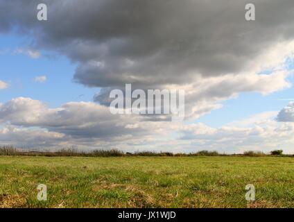 Beautiful lanscape Teufelsmoor near Bremen - Gemany Stock Photo