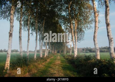 Beautiful lanscape Teufelsmoor near Bremen - Gemany Stock Photo