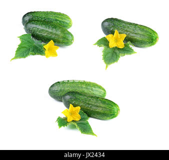 Set of Cucumber Vegetables with Leaves and Flowers, Isolated on White Background Stock Photo