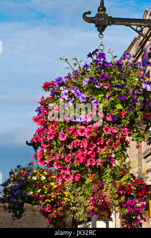 Colourful Hanging Baskets On Street Lamp posts Stock Photo