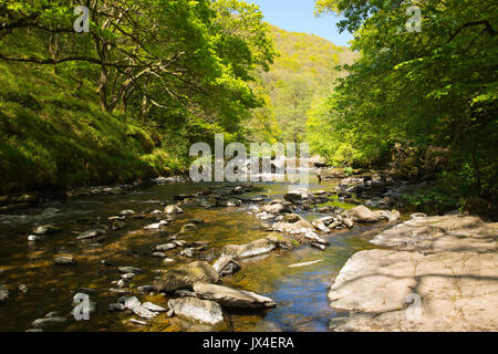 Beautiful Devon river near Lynmouth from walk to Watersmeet England UK Stock Photo