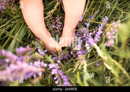 Legs of cute little baby boy against green meadow with purple flowers. Stock Photo