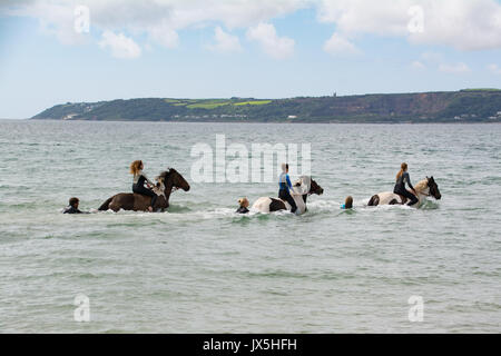 Longrock, near Marazion, Cornwall, UK. 15th August 2017. UK Weather.  The sunshine came out for Mea Sucato who flew from New York to Cornwall for her birthday treat of swimming in the sea with Cornwall swimming horses at Marazion. Mea on the left Credit: Simon Maycock/Alamy Live News Stock Photo