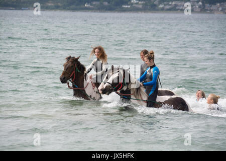 Longrock, near Marazion, Cornwall, UK. 15th August 2017. UK Weather.  The sunshine came out for Mea Sucato who flew from New York to Cornwall for her birthday treat of swimming in the sea with Cornwall swimming horses at Marazion. Mea on the left Credit: Simon Maycock/Alamy Live News Stock Photo