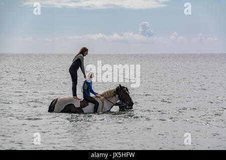 Longrock, near Marazion, Cornwall, UK. 15th August 2017. UK Weather.  The sunshine came out for Mea Sucato who flew from New York to Cornwall for her birthday treat of swimming in the sea with Cornwall swimming horses at Marazion. Mea standing up Credit: Simon Maycock/Alamy Live News Stock Photo