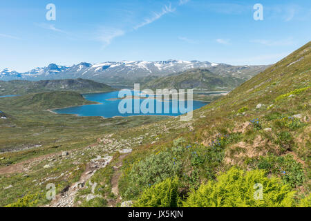 walking track in national park from bitihorn to stavtjedtet with lakes fjord and snow on the mountains Stock Photo