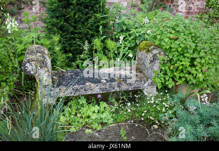 Stone bench among a semi wild planting of perennials at medieval Cothay Manor near Wellington in Somerset UK Stock Photo