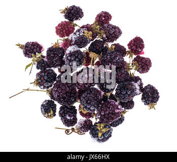 Bunch of frozen blackberries on white. Studio Photo Stock Photo