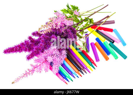 Colorful composition with flowers and colored pencils.Flat lay on white, top view. Studio Photo Stock Photo