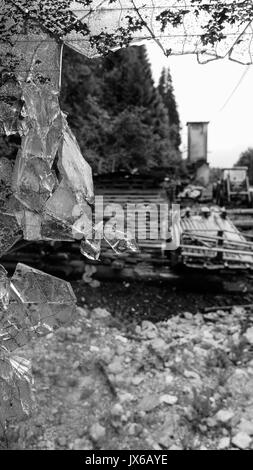 A tour in an an abandonned sawmill, Grandvaux Lake, Jura (France): Stock Photo