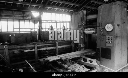 A tour in an an abandonned sawmill, Grandvaux Lake, Jura (France): Stock Photo