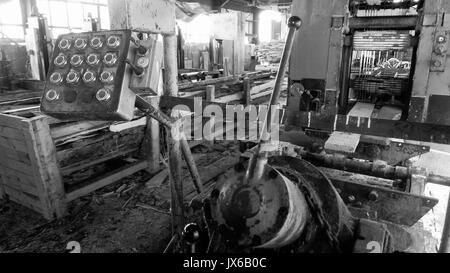 A tour in an an abandonned sawmill, Grandvaux Lake, Jura (France): Stock Photo