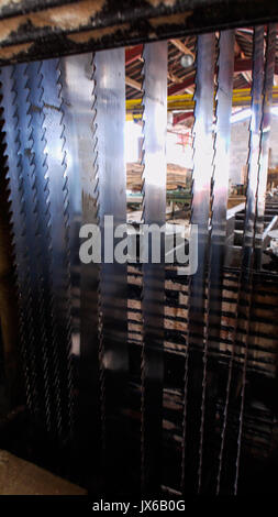 A tour in an an abandonned sawmill, Grandvaux Lake, Jura (France): Stock Photo