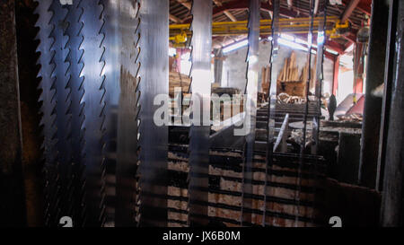 A tour in an an abandonned sawmill, Grandvaux Lake, Jura (France): Stock Photo