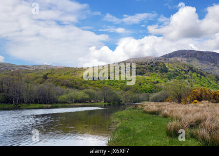 River Glaslyn orginates in Lake Glaslyn on Mount Snowdon passes  through dramatic Snowdonia but here is on the flood plains of the Glaslyn Estuary. Stock Photo