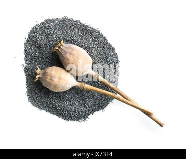 Dried poppy heads and seeds isolated on white background. Blue poppy. Stock Photo