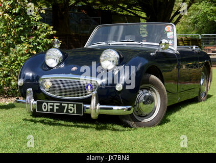 Low-angle, front three quarter view of an Austin-Healey Sprite Mark I on display in a garden setting Stock Photo
