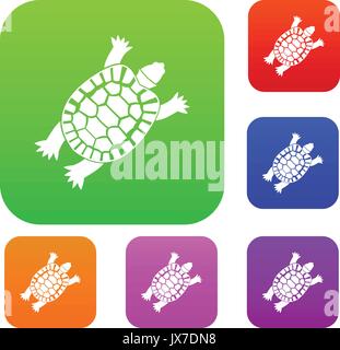 Turtle set collection Stock Vector