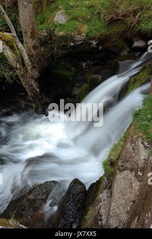 The upper of two small waterfalls on the Afon Caerfanell near its confluence with the Nant Bwrefwr. Stock Photo