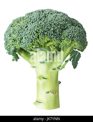 Cabbage broccoli isolated on white background with clipping path Stock Photo