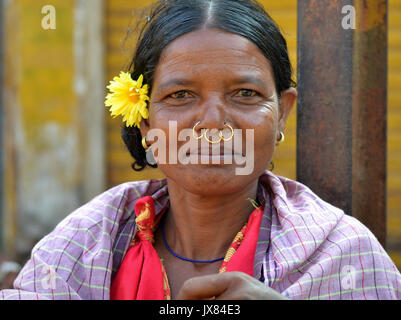 Indian Adivasi woman with three golden tribal nose rings and a yellow marigold flower behind her ear poses for the camera. Stock Photo