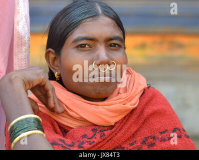 Closeup street portrait (outdoor headshot, three-quarter view) of a young Indian Adivasi market woman with three golden tribal nose rings. Stock Photo