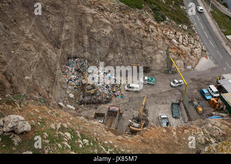 Barbary macaques scavenge for food in a busy landfill site in Gibraltar. Stock Photo