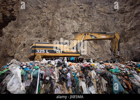 A Barbary macaque scavenges for food in a landfill site in Gibraltar. Stock Photo
